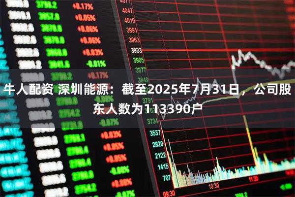 牛人配资 深圳能源：截至2025年7月31日，公司股东人数为113390户