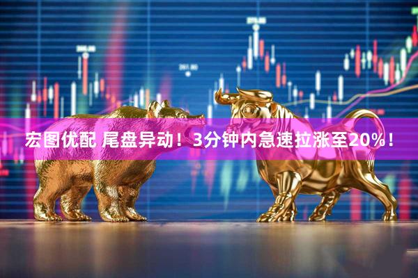 宏图优配 尾盘异动！3分钟内急速拉涨至20%！