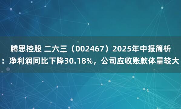 腾思控股 二六三（002467）2025年中报简析：净利润同比下降30.18%，公司应收账款体量较大