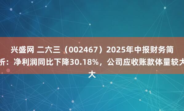兴盛网 二六三（002467）2025年中报财务简析：净利润同比下降30.18%，公司应收账款体量较大